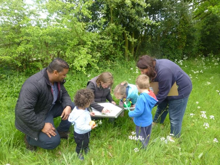 Bug Hunting